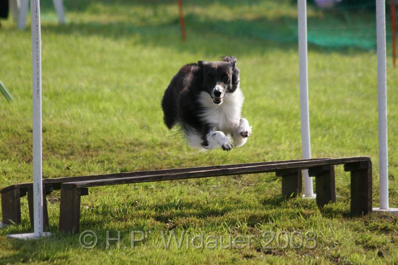 jubil.lusten3 132.jpg